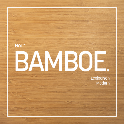 Bamboe